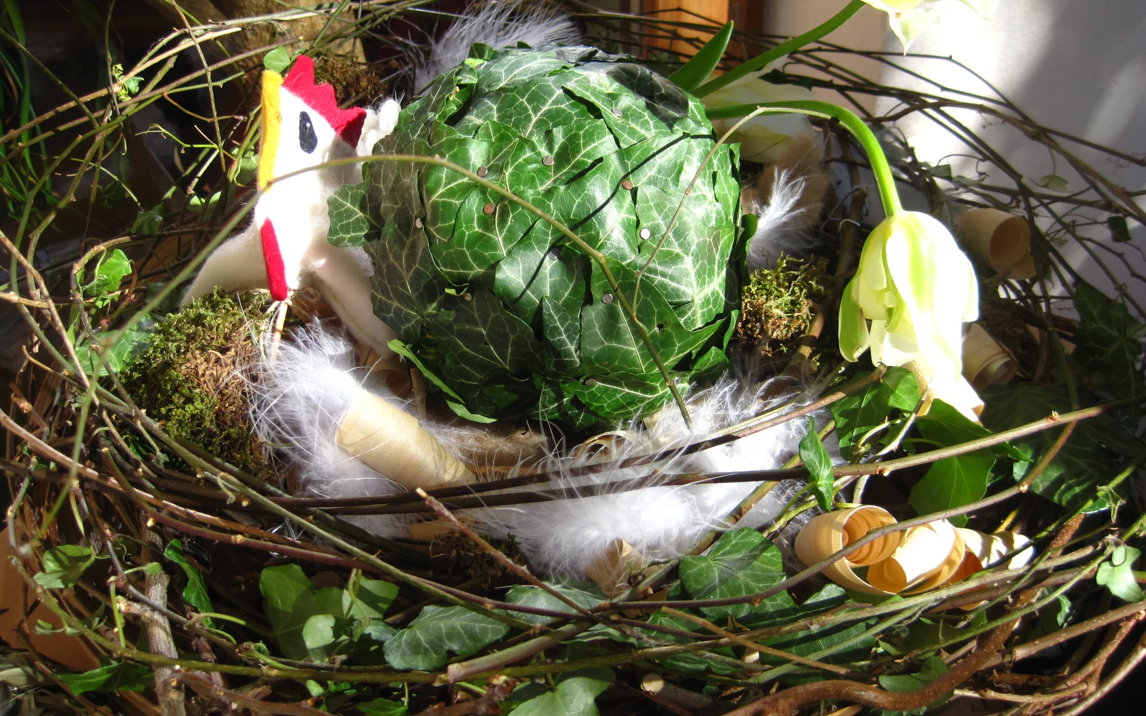 IMG_0245 - Kopie.JPG